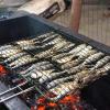 festival-sardinha-ilhabela-3.jpg
